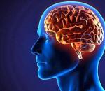 Причины, признаки, диагностика и лечение мозжечковых нарушений